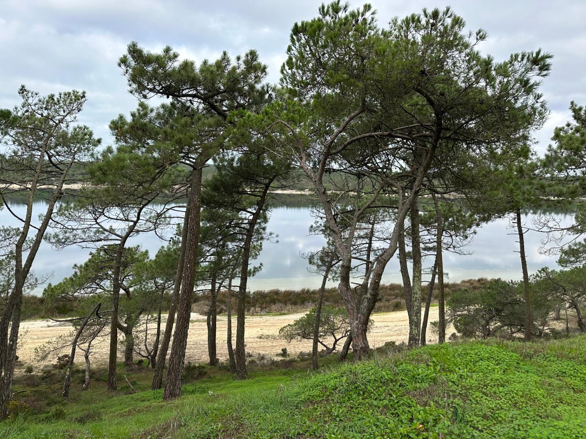 Eco-Friendly Beach House 塞辛布拉 外观 照片